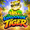 Grooving Tiger